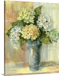 Yellow Hydrangea
