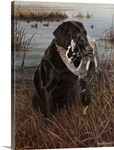 A Friend in the Marsh