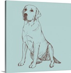Best in Show XII