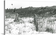 Cape May Lighthouse III