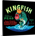 Kingfish