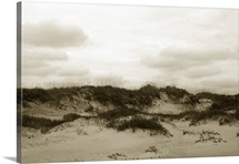 Ocracoke Dune Study III