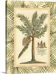Palm in Bamboo I