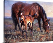 The Bay Filly