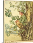 The Elm Fairy