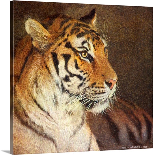 Tiger Photo Canvas Print Great Big Canvas