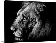 Wildlife Scratchboards I