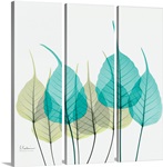 Blue and Green Bodhi Tree Leaf X-Ray Photograph