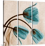 Blue Tulip X-Ray Photograph