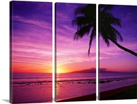 Hawaii, Maui, Olowalu, Palm Tree Silhouette At Sunset, Lanai In The Distance