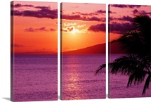 Hawaii, Maui, Tropical Sunset With Palm Tree