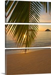 Hawaii, Oahu, Mokulua Islands, Golden Sunrise At Lanikai Beach