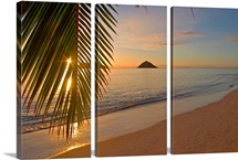 Hawaii, Oahu, Mokulua Islands, Golden Sunrise At Lanikai Beach