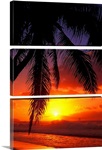 Hawaii, View Of Sunset From The Beach