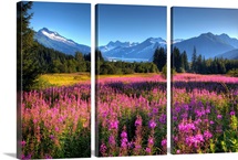 Wildflowers at Mendenhall