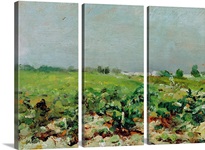 Celeyran, View of the Vineyard, 1880 (oil on canvas)