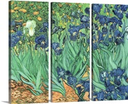 Irises, 1889 (oil on canvas)