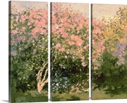 Lilac in the Sun, 1873 (oil on canvas)