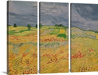 Plain at Auvers, 1890 (oil on canvas)