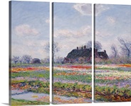 Tulip Fields at Sassenheim, near Leiden, 1886 (oil on canvas)