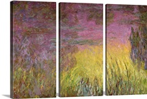 Waterlilies at Sunset, 1915 26 (oil on canvas) (detail of left side)