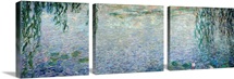 Waterlilies: Morning with Weeping Willows