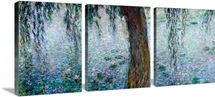 Waterlilies: Morning with Weeping Willows