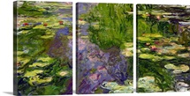 Waterlilies (oil on canvas)