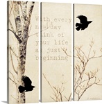 Birds