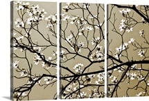 Dogwood I