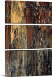 Petrified wood