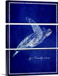 Marine Collection II - Sea Turtle