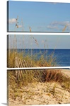 Sand Fence and Dune Grass
