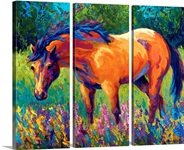 Dunn Mare