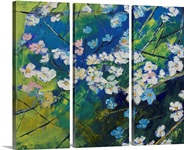 Cherry Blossoms