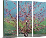 Eastern Redbud Tree