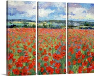Poppies