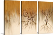 Naked Reflections