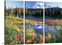 Mt Rainier and wildflowers at Reflection lake Mt Rainier National Park Washington