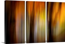 Fall Light I