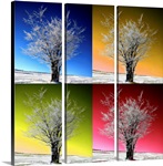 Four Seasons