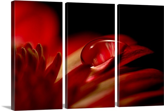 Red Drop