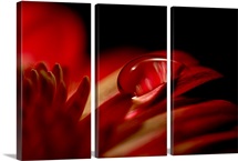 Red Drop