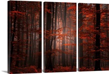 Spiritual Wood