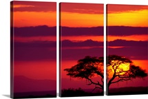 Sunscape II