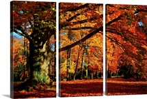 The Tree