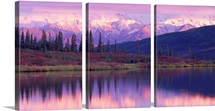 Alaska Range Denali National Park AK