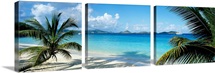Beach US Virgin Islands