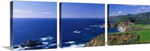 California, Big Sur, Pacific coast