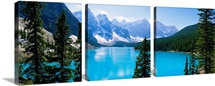 High angle view of a lake, Moraine Lake, Valley of ten peaks, Banff National Park, Alberta, Canada